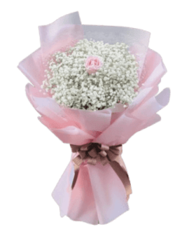 Bó Hoa Chúc Mừng HS08