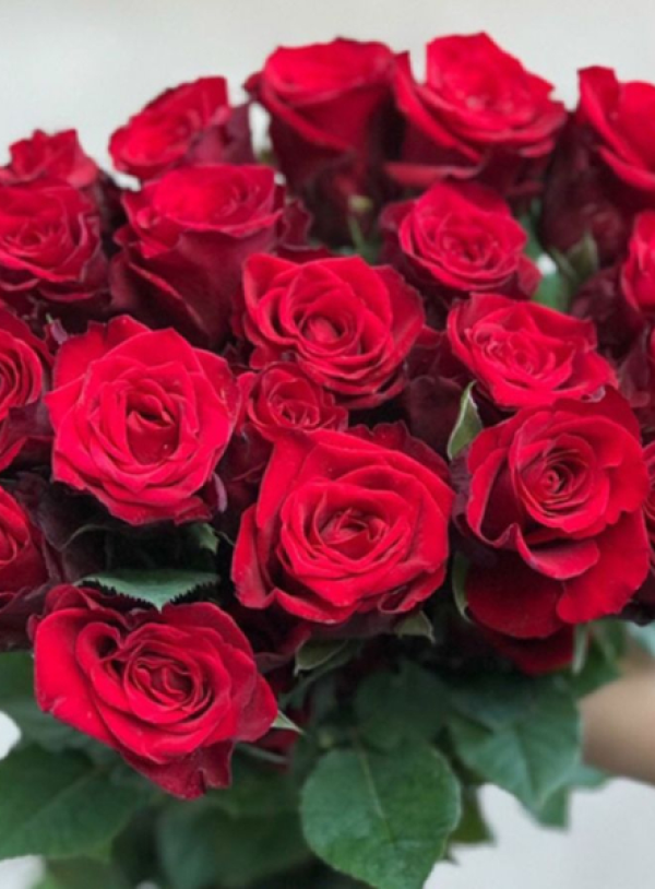 Hoa Tươi Đỏ Mina 01
